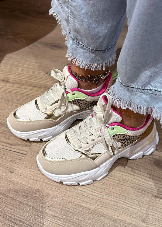 Colorful sneaker